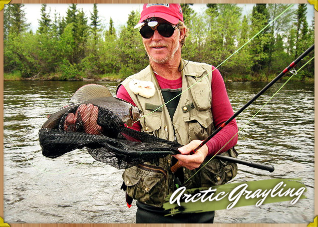 Big Lake Trout in Hasbala Lake Lodge